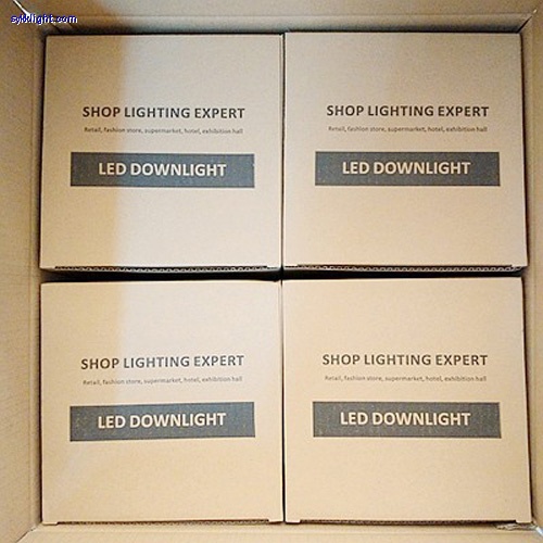 6W Cree LED downlight