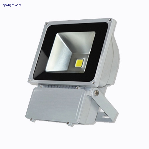 100W LED Flood Light