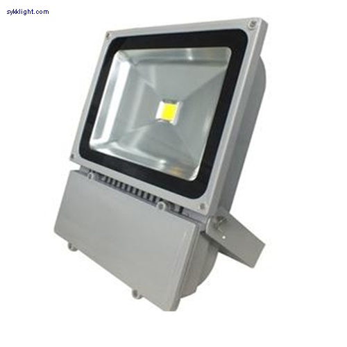 100W LED Flood Light