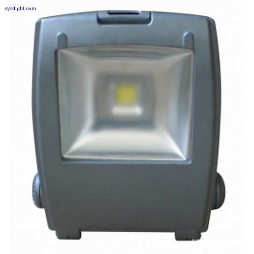 10W LED Flood Light