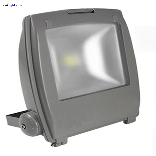 50W LED Flood Light
