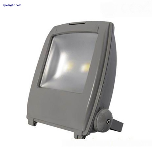 100W LED Flood Light