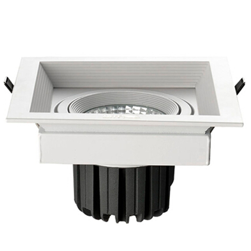 20W Cree LED foco parrilla