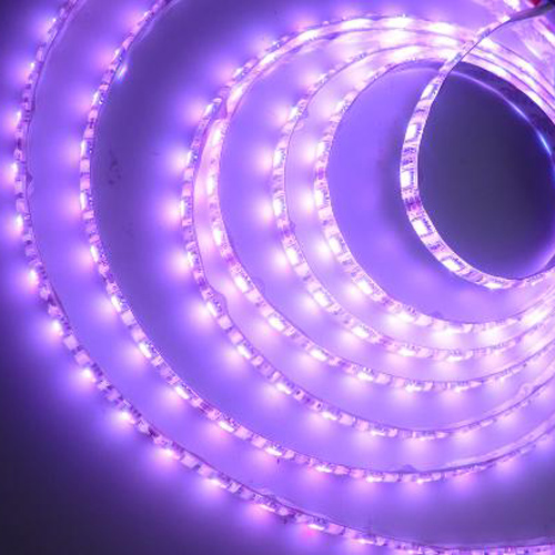 Tira SM5050 con 60 led cada metro